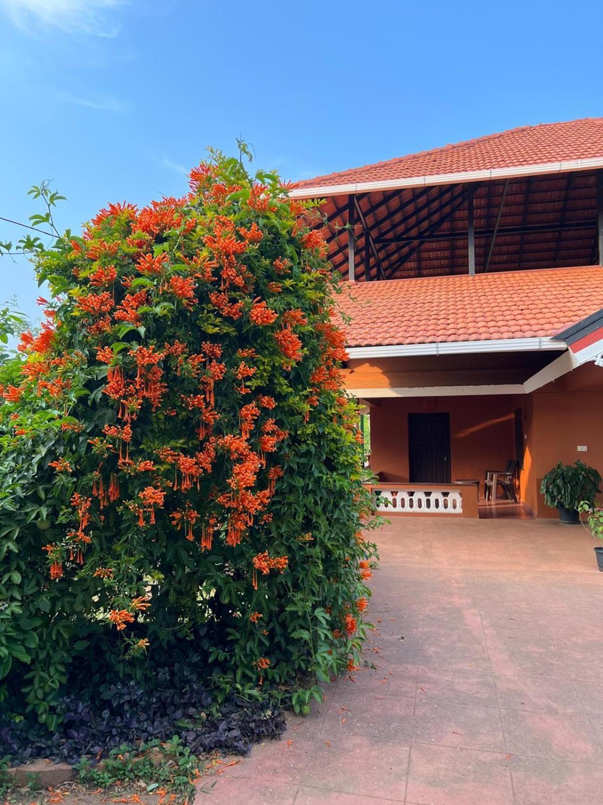 Janiro Tea Trees Villas Vythiri Exterior photo
